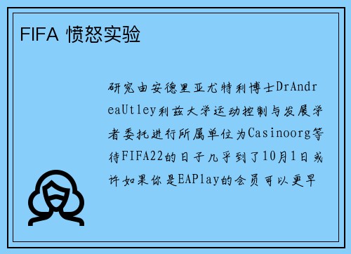 FIFA 愤怒实验 