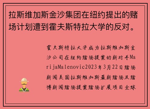 拉斯维加斯金沙集团在纽约提出的赌场计划遭到霍夫斯特拉大学的反对。